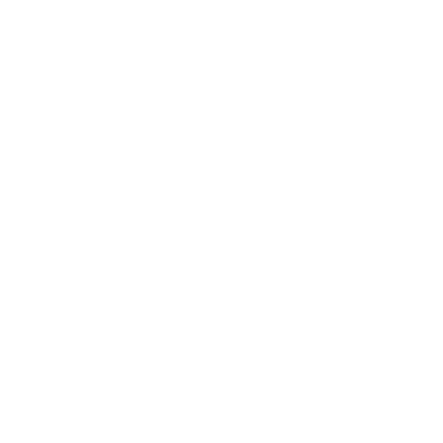 VERSLO LYDERIŲ TINKLAS